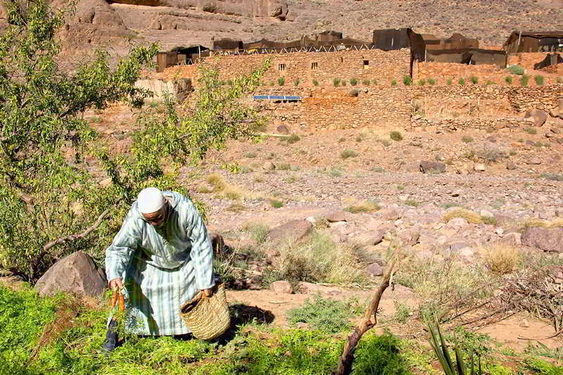 Ecolodge Ouednoujoum Ouarzazate Exterior photo